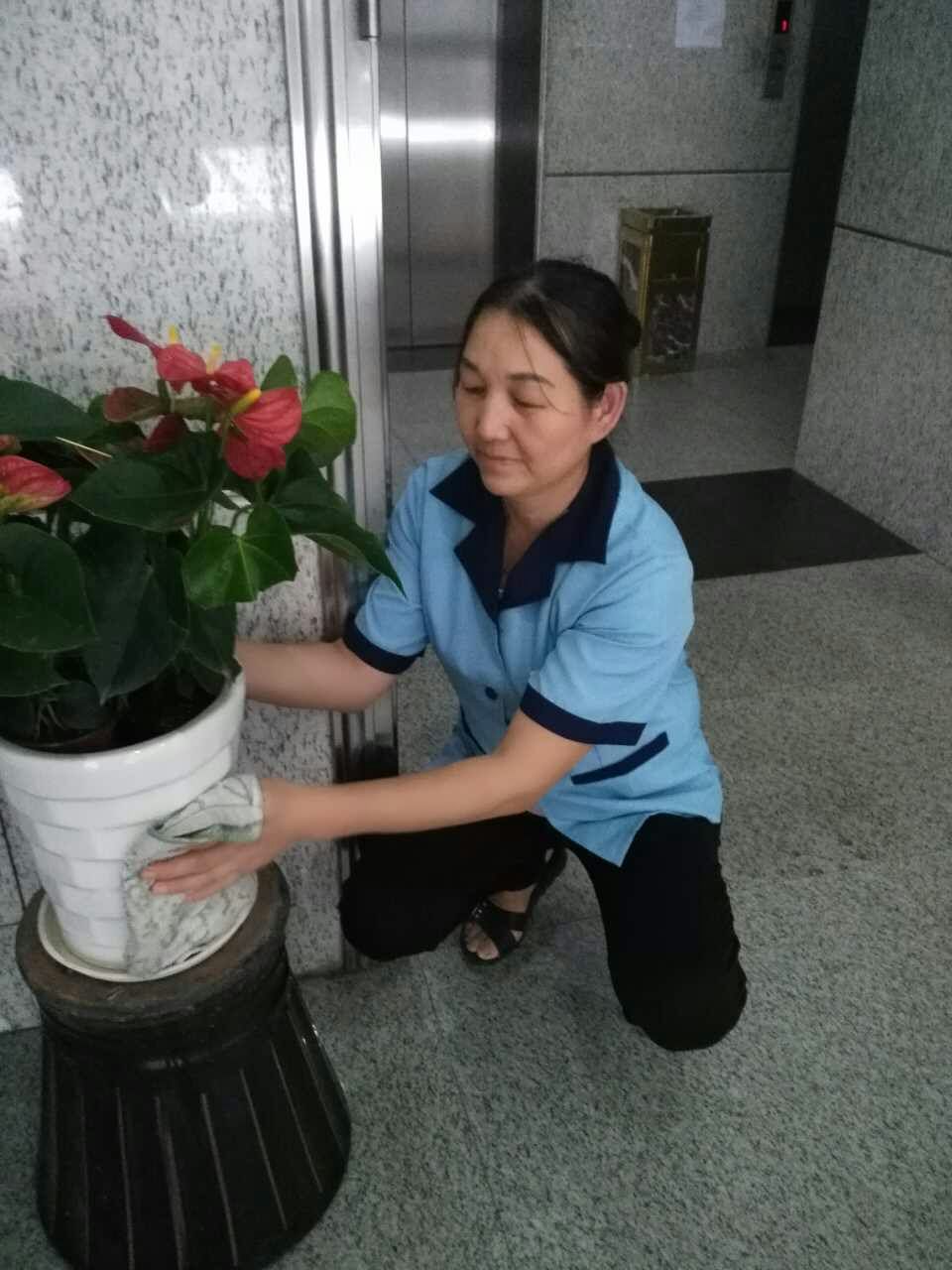 日常保洁6